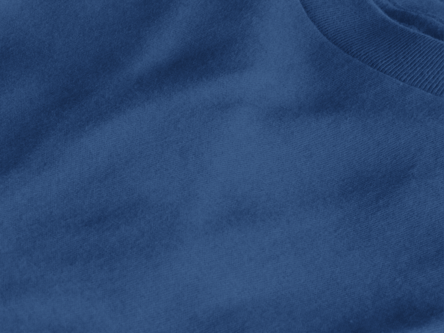 Phoenix T-shirt